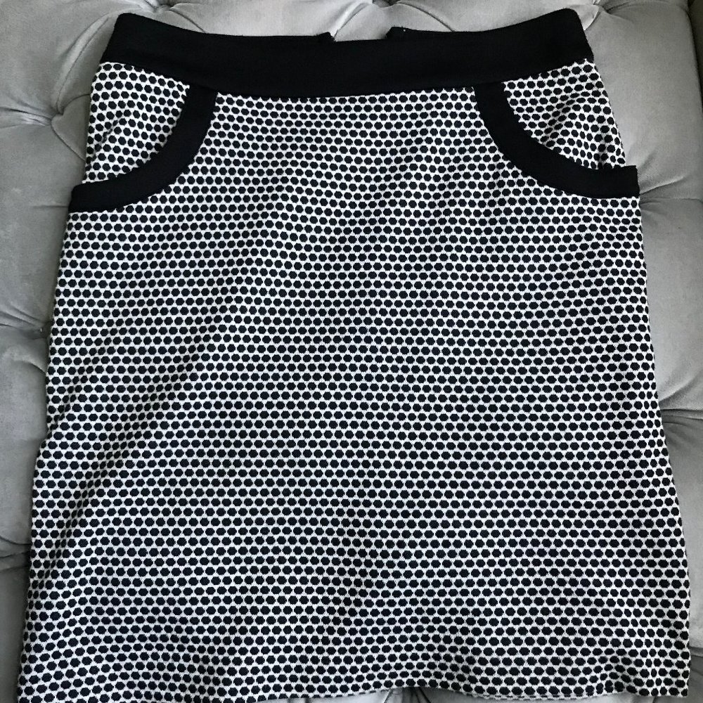 Merona Skirt